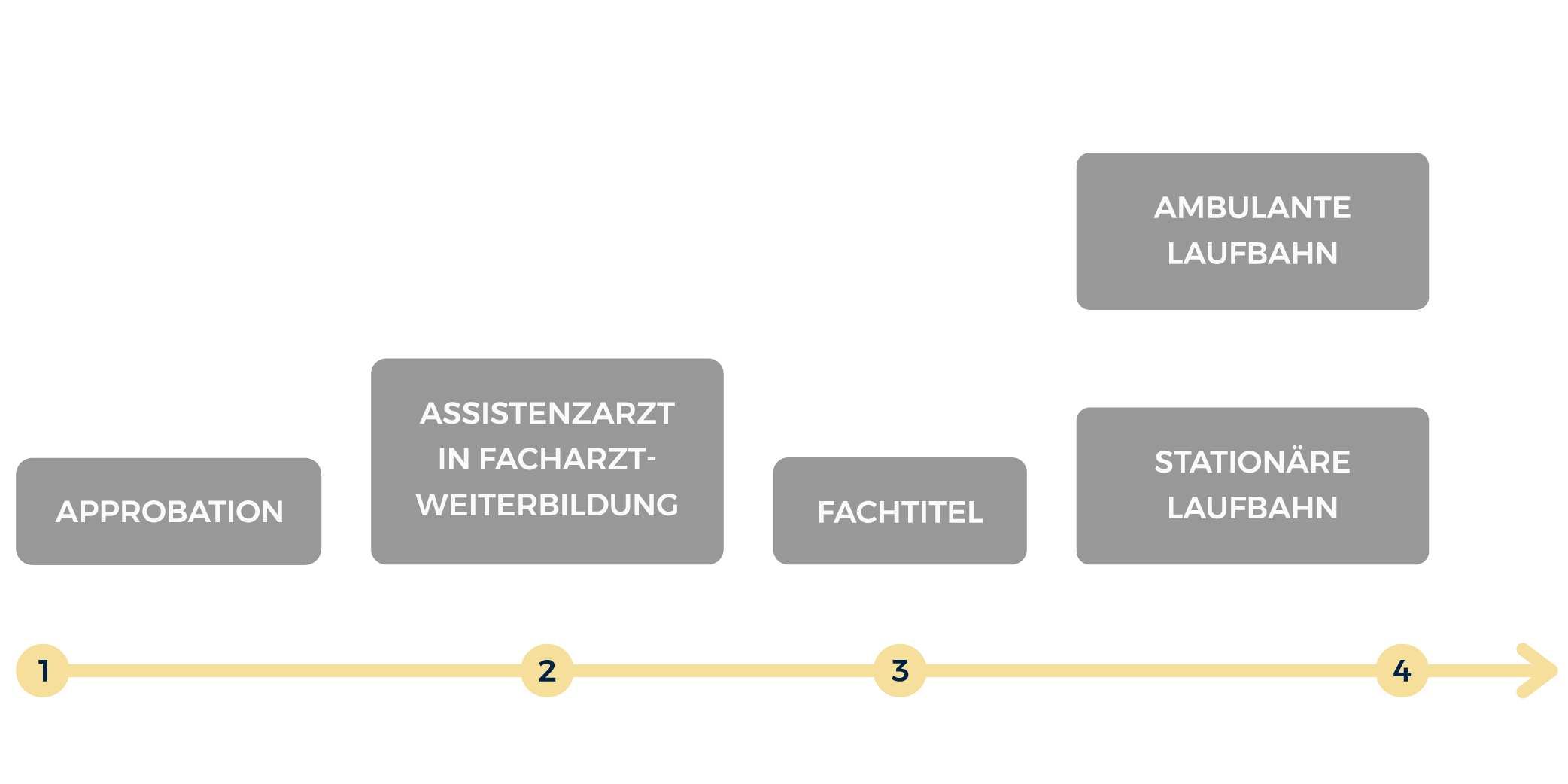 Der Karriereweg eines Arztes, Zeitleiste der 4 Milestones